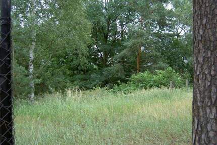 großzügiges Baugrundstück im Zentrum von Senftenberg