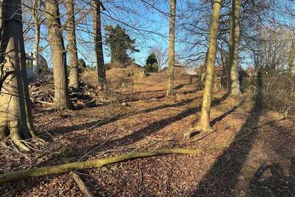 Grundstück zu verkaufen in Büchen 610.000,00 € 4645 m²