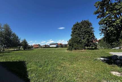 Grundstück zu verkaufen in Fridolfing 365.000,00 € 796 m²