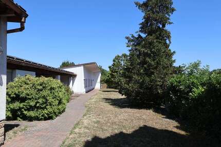 Grundstück zu verkaufen in Haßloch 460.000,00 € 1246 m²