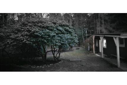 Kleines Haus zu Vermieten - 850,00&nbsp;EUR Kaltmiete, ca.&nbsp; 75,00&nbsp;m&sup2; in Wildeshausen (PLZ: 27793)