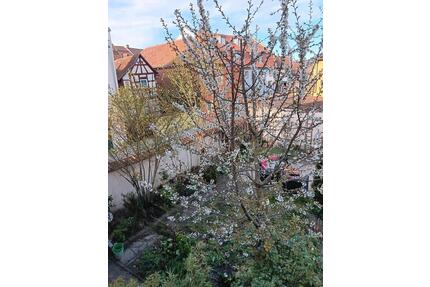 3 Familien Haus - 450.000,00&nbsp;EUR Kaufpreis, ca.&nbsp; 300,00&nbsp;m&sup2; in Bad Windsheim (PLZ: 91438)