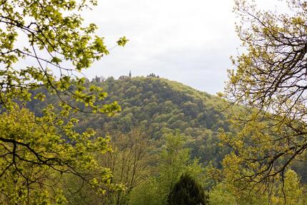 Grundstück mit großem Potenzial in idyllischer Hanglage in Neckar - Neckarsteinach