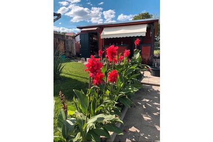 Kleingarten in Heidenau abzugeben - Altenberg Geising