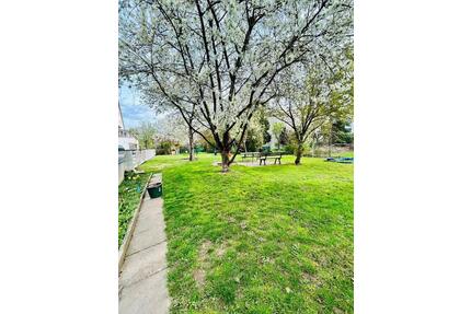 Großzügige 5-Zimmer-Wohnung mit Balkon und Garten in Eschwege