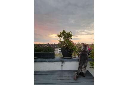 Wohnung zum Kaufen in Bergisch Gladbach 710.000,00 € 192 m²