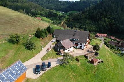 Schwarzwald-Ferienhaus- Ferienwohnungen Top - Panoramalage - Oppenau