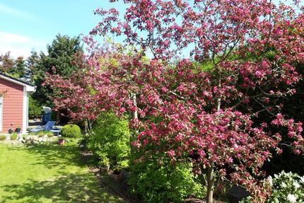 Tiny-House Ferienunterkunft - 55,00&nbsp;EUR Kaltmiete, in Wyk Auf Föhr (PLZ: 25938)