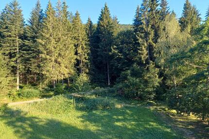 Ferienwohnung am Waldrand in Baiersbronn-Obertal