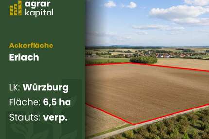Grundstück in Erlach 622.000,00 € 65481 m²