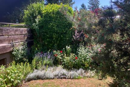 Schöne 2-Zimmer-Gartenwohnung in ruhiger Lage von Dachau