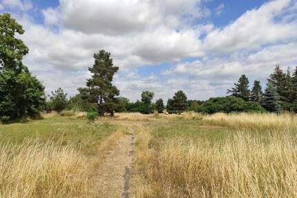 herrliches Wohnbaugrundstück mitten in Nerchau am Gänsemarkt - Grimma