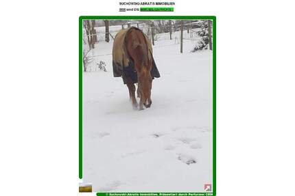 *** Bauernhaus und ca. 3 Hektar Land in Randlage *** - Bad Belzig