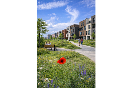 Haus zum Kaufen in Hamburg 949.000,00 € 177 m²