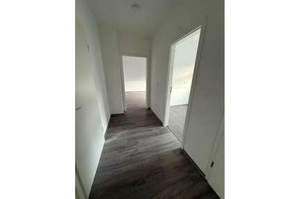 Wohnung zum Mieten in Hagen 430,00 € 59 m²