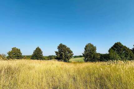 Grundstück zu verkaufen in Brüel 98.000,00 € 1037 m²