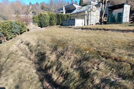 Garten abzugeben - 1.800,00&nbsp;EUR Kaltmiete, ca.&nbsp; 0,00&nbsp;m&sup2; in Rudolstadt (PLZ: 07407)