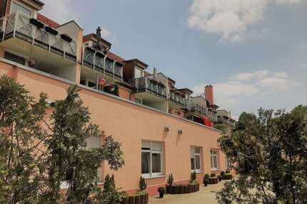 Wohnung zum Mieten in Wurzen 295,00 € 45 m²