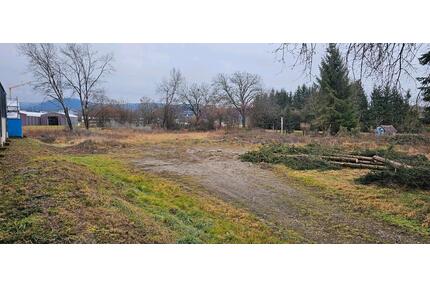 Unbebautes Grundstück zur VermietungVerpachtung - Klettgau