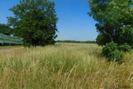 Grundstück zu verkaufen in Lanz Bernheide 29.000,00 € 4185 m² - Lanz / Bernheide