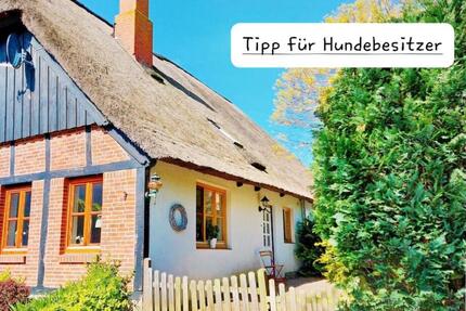 Sommer auf Fehmarn: wundervolle Insel-Reetkate, kostenloser Sauna- & Schwimmbadzugang, Hunde herzlich willkommen, Ostsee, Ferienhaus mit Hund, Ferienwohnung nahe Burg, Last Minute