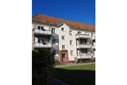 Ankommen in Wittenberg - elbnah im grünen wohnen! - Wittenberg Lutherstadt