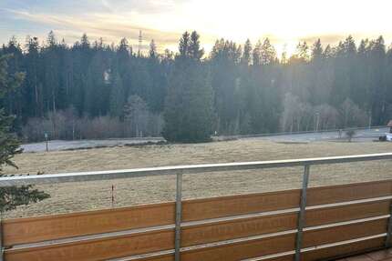 Wohnung zum Kaufen in Freudenstadt 115.000,00 € 45.5 m²