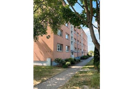 Hübsche, gemütliche 1-Raum-Wohnung in Gerstungen
