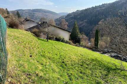 Grundstück zu verkaufen in Schönau 99.800,00 € 731 m²