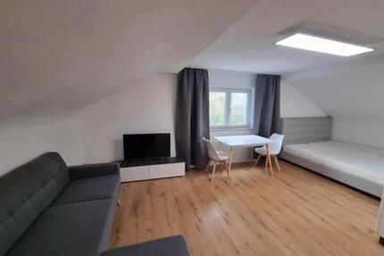 Moderne, renovierte und möblierte 1-Zimmer-Wohnung in Esslingen-Zollberg (ca. 30 m²) - Esslingen am Neckar Pliensauvorstadt