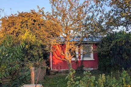 Kleingarten in der Gartensparte Erholung - Greifswald