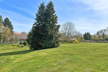 Grundstück zu verkaufen in Teuchern 64.000,00 € 1600 m²