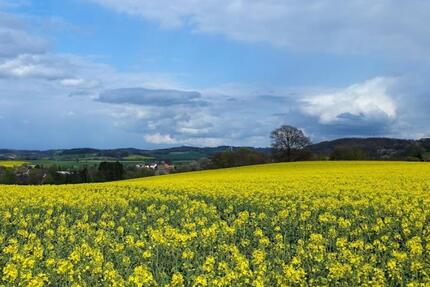 Schöne 4 Zimmer Wohnung mit Garten in Wüsten - Bad Salzuflen Ehrsen-Breden