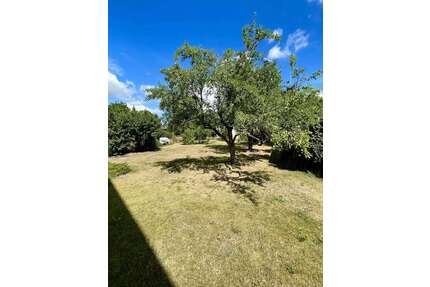 Haus zum Kaufen in Wrestedt 233.000,00 € 133 m²