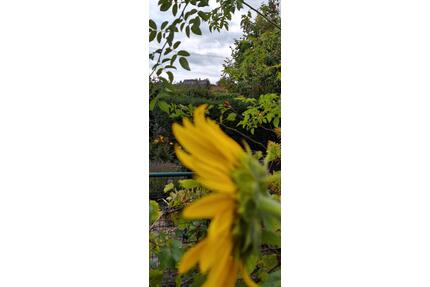 Wunderschöner Schrebergarten - Vesteblick + viele Überraschungen - Coburg
