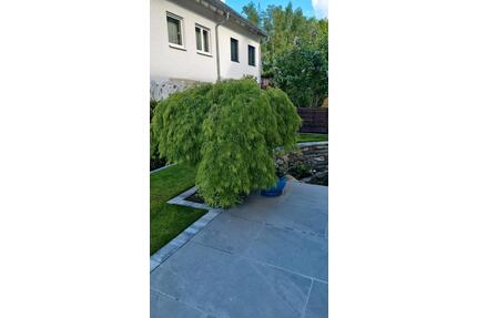Haus in Kelkheim - 1.000.050,00&nbsp;EUR Kaufpreis, ca.&nbsp; 150,00&nbsp;m&sup2; in Kelkheim (Taunus) (PLZ: 65779)