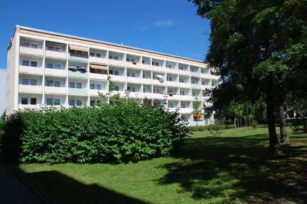 Wohnung zum Mieten in Chemnitz 163,00 € 29.64 m²