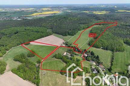 Haus zum Kaufen in Waldhufen Thiemendorf 399.000,00 € 160 m² - Waldhufen / Thiemendorf