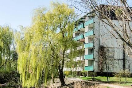 Direkt am Igelpfuhl. - 435,00&nbsp;EUR Kaltmiete, ca.&nbsp; 64,63&nbsp;m&sup2; in Prenzlau (PLZ: 17291)