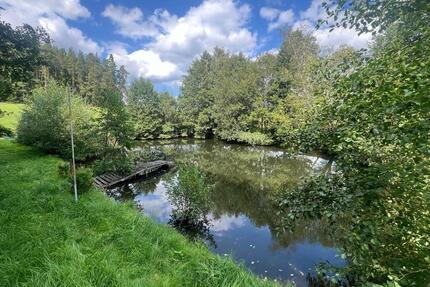 Erster Monat kostenlos! Seegrundstücke 1,5 Std. von Berlin - Jessen (Elster)