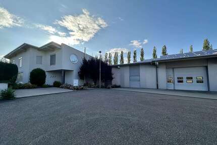 Halle in Weil der Stadt 6.450,00 € 292 m²