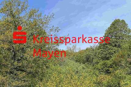 Grundstück zu verkaufen in Mayen 189.000,00 € 1176 m²