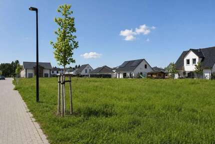 Grundstück zu verkaufen in Damsdorf 127.000,00 € 518 m²
