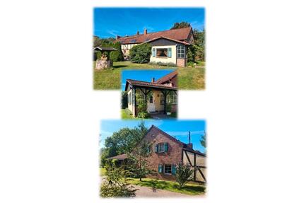 Haus Hof Pferdehaltung in Brandenburg ruhig gelegen auf 4,4 ha BB - Kyritz