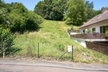 Grundstück zu verkaufen in Weißenborn 12.000,00 € 804 m²