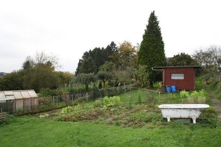 Gartenland zu verpachten in Burscheid - Odenthal