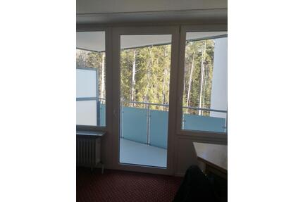 1-Zimmer-Wohnung mit Balkon in Altensteig-Wart zu vermieten