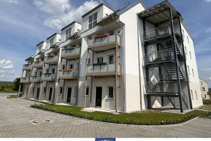 Wohnung zum Mieten in Arnsdorf 555,00 € 46.12 m²