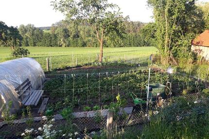 Gemüsegarten mit Gewächshaus zu vermieten - Tiefenbach