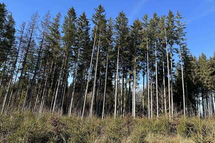 Grundstück in Dießen 79.000,00 € 16170 m²